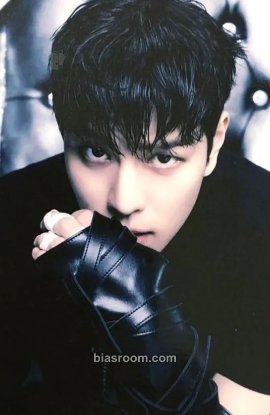 Seungmin GIANT Photocard - Stray Kids - Stray Kids K-pop photocard