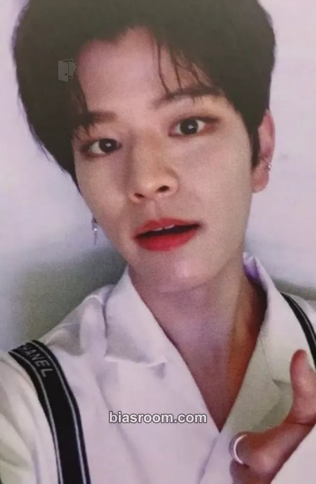 Seungmin In Life Photocard - Stray Kids - Stray Kids K-pop photocard