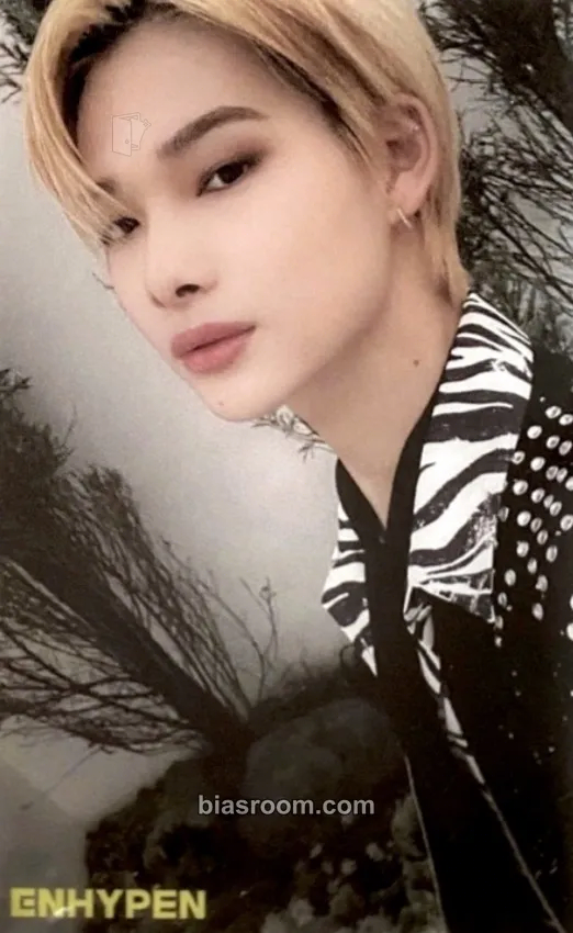 Ni-ki DIMENSION: 閃光 (SENKOU) Photocard - ENHYPEN - ENHYPEN K-pop photocard