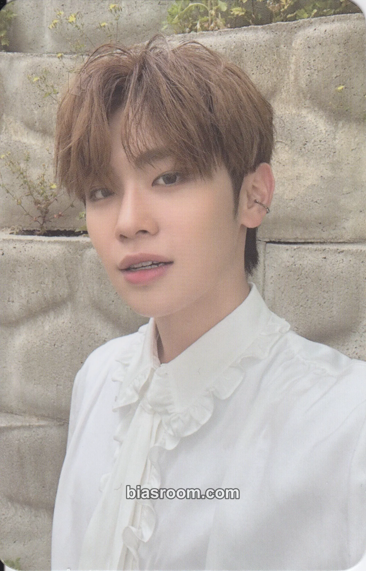 Taerae Youth in the Shade Photocard - ZEROBASEONE - ZEROBASEONE K-pop photocard