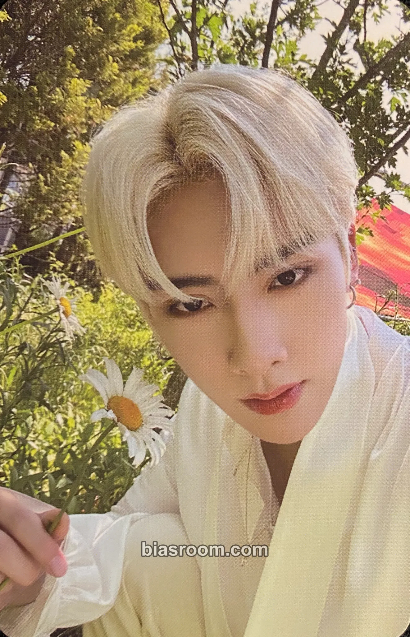 Ricky Youth in the Shade Photocard - ZEROBASEONE - ZEROBASEONE K-pop photocard