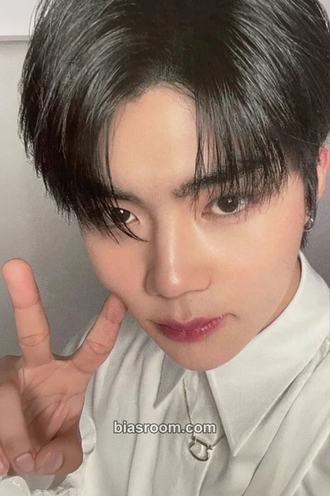 Gunwook Youth in the Shade Photocard - ZEROBASEONE - ZEROBASEONE K-pop photocard
