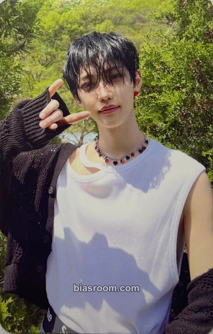 Felix Maxident Photocard - Stray Kids - Stray Kids K-pop photocard