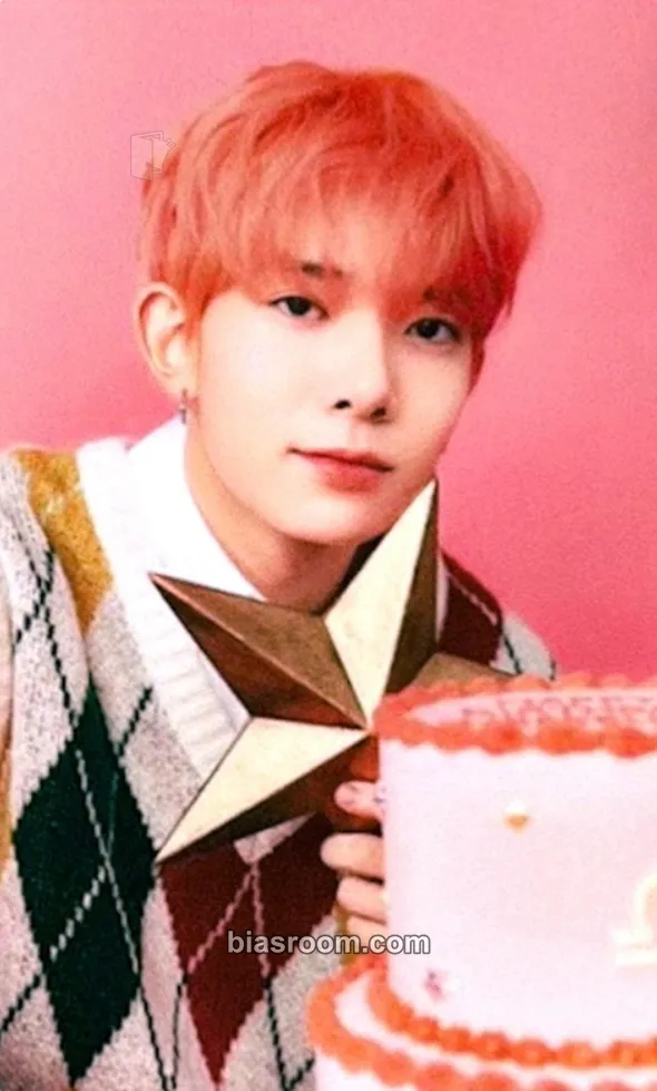 Heeseung ENHYPEN HBD Official Merch Photocard - ENHYPEN - ENHYPEN K-pop photocard