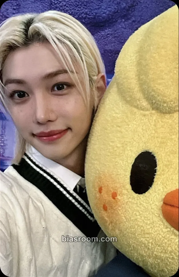 Felix 4th Fanmeeting - SKZ's Magic School Photocard - Stray Kids - Stray Kids K-pop photocard