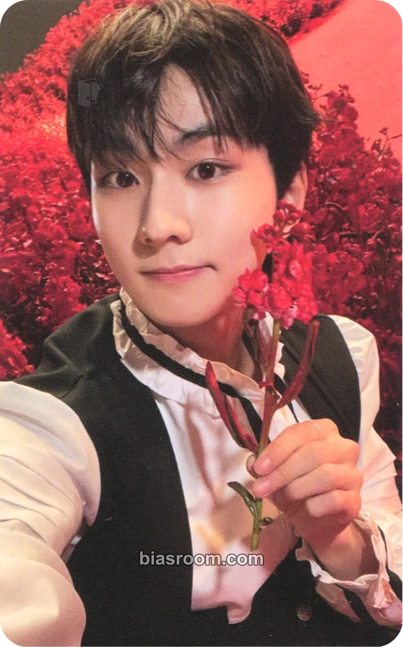 Jungwon DARK BLOOD Photocard - ENHYPEN - ENHYPEN K-pop photocard