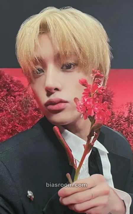 Jake DARK BLOOD Photocard - ENHYPEN - ENHYPEN K-pop photocard