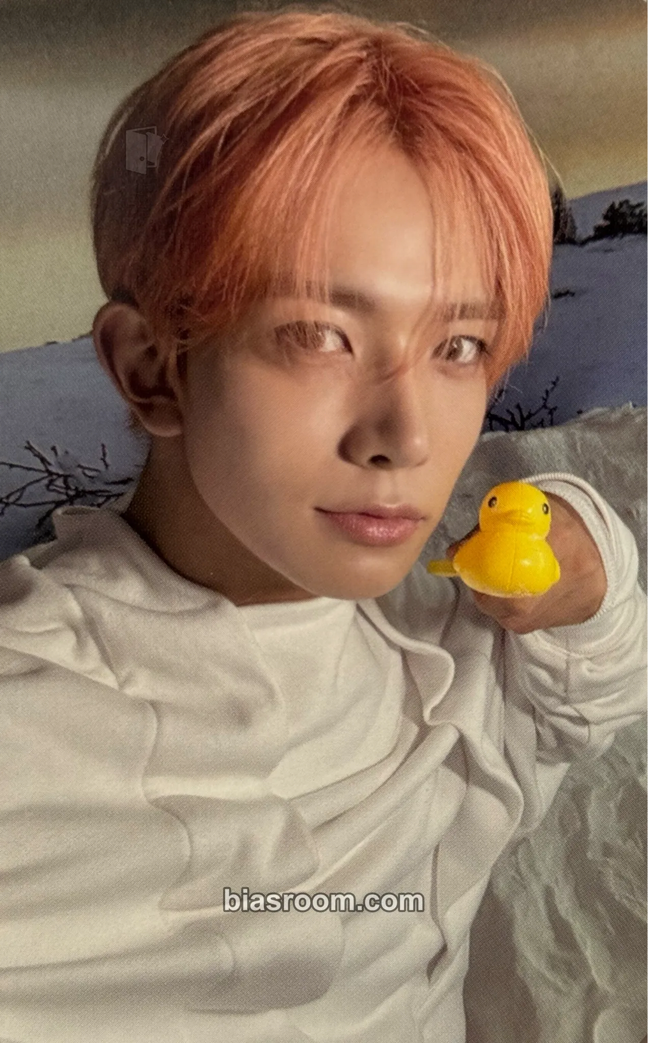 Heeseung ROMANCE: UNTOLD-DAYDREAM- Photocard - ENHYPEN - ENHYPEN K-pop photocard
