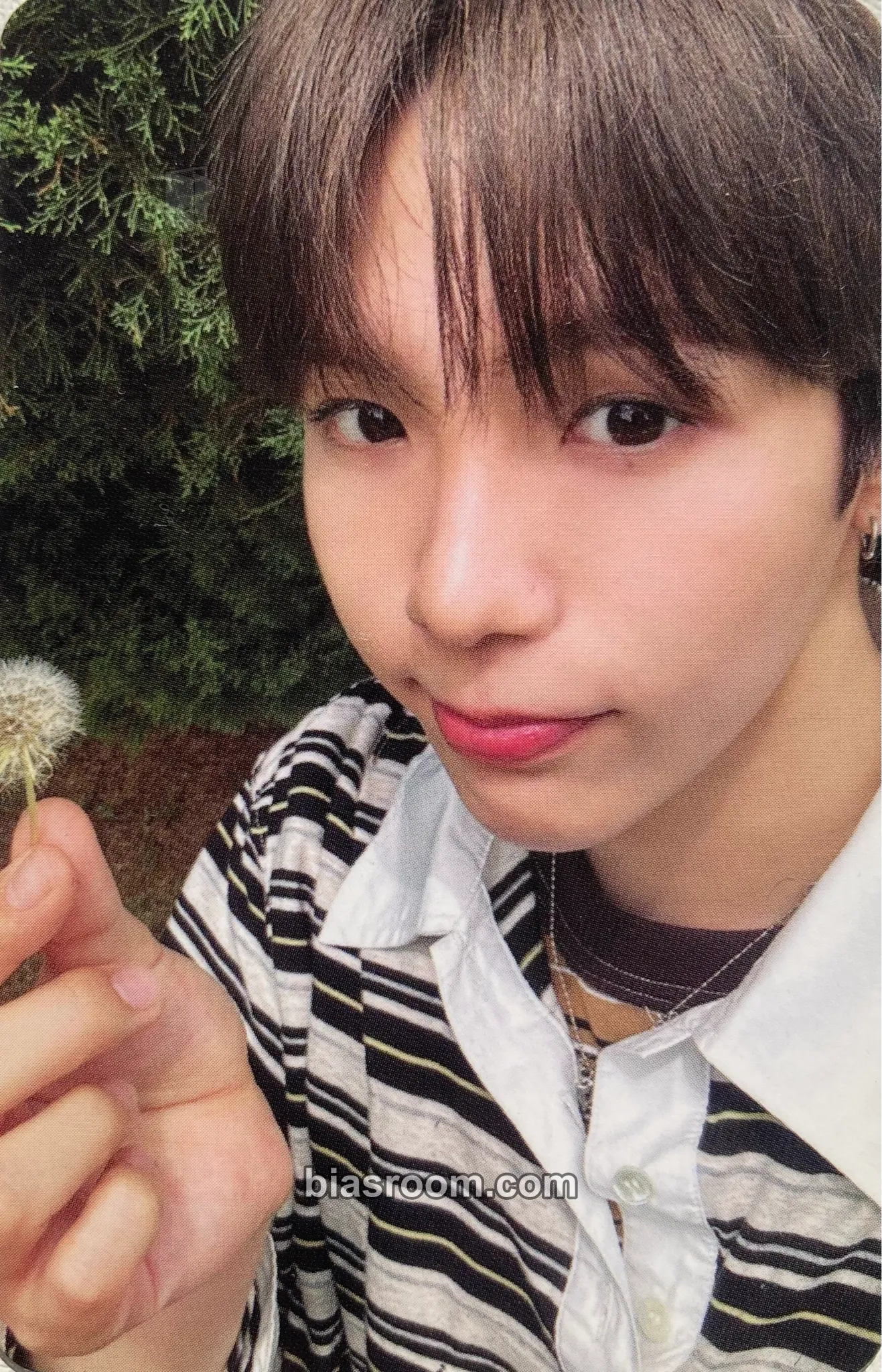Shotaro Riizing : Epilogue Photocard - RIIZE - RIIZE K-pop photocard