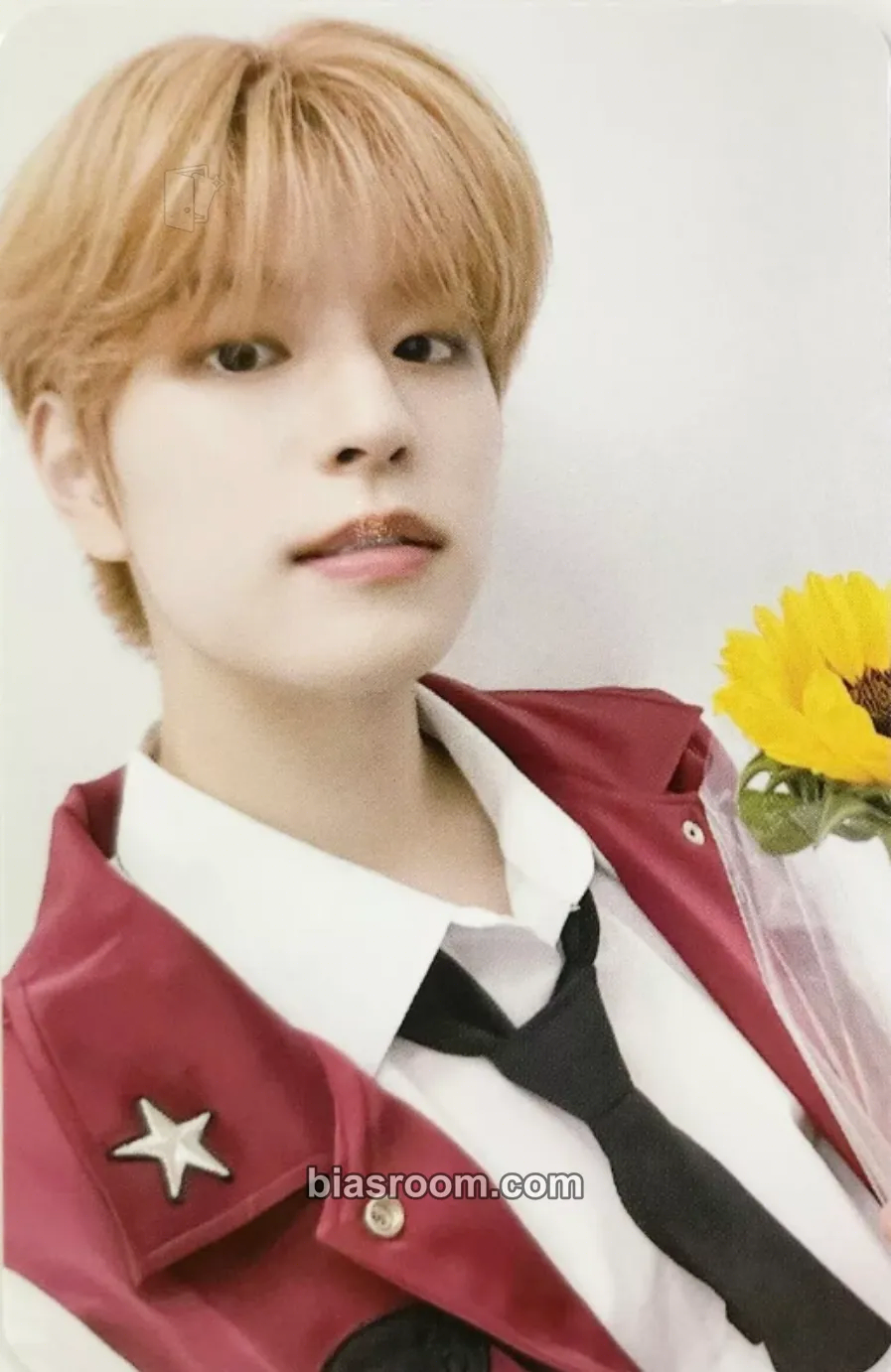 Seungmin 5-STAR Photocard - Stray Kids - Stray Kids K-pop photocard