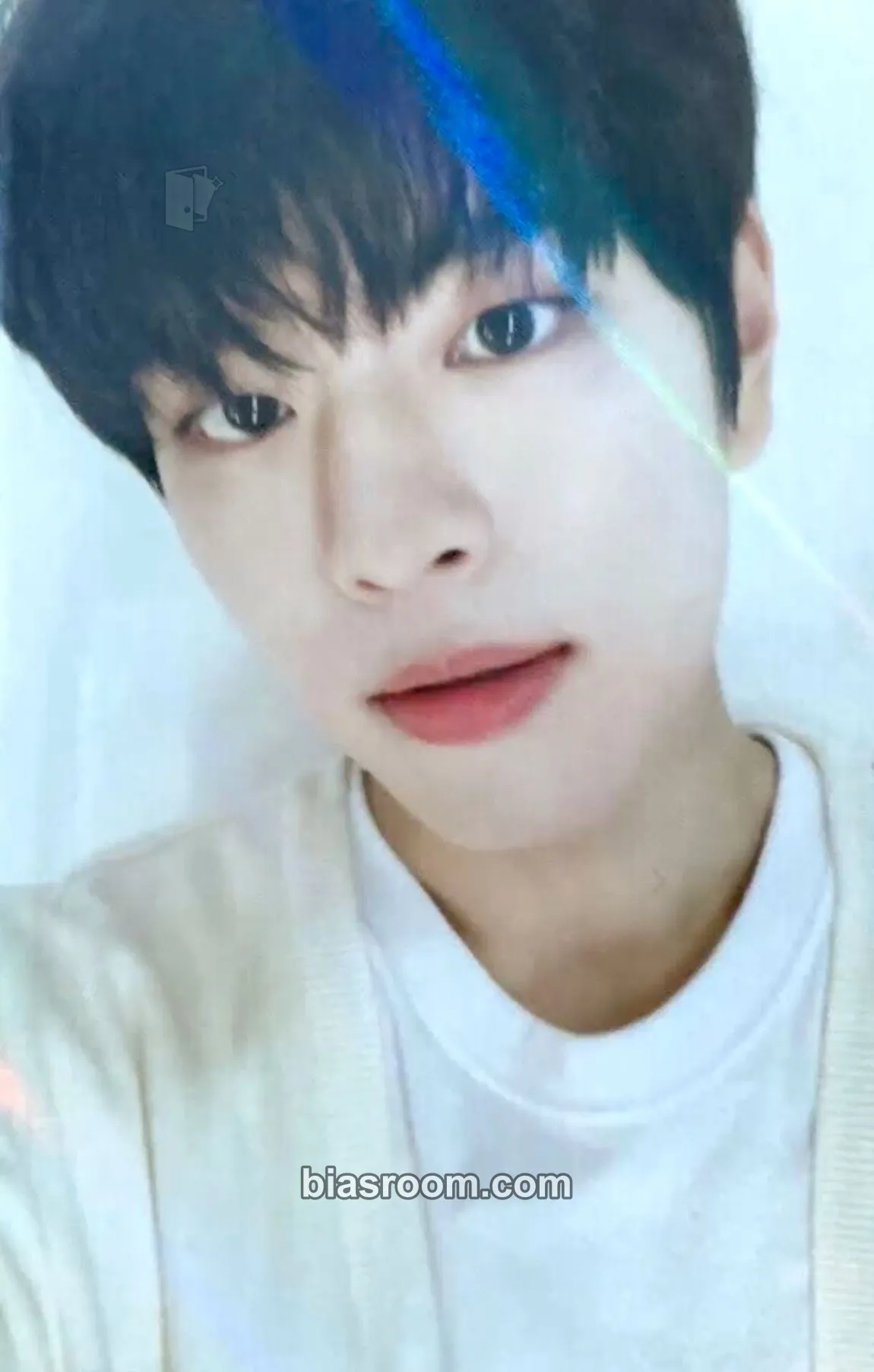 Seungmin In Life Photocard - Stray Kids - Stray Kids K-pop photocard