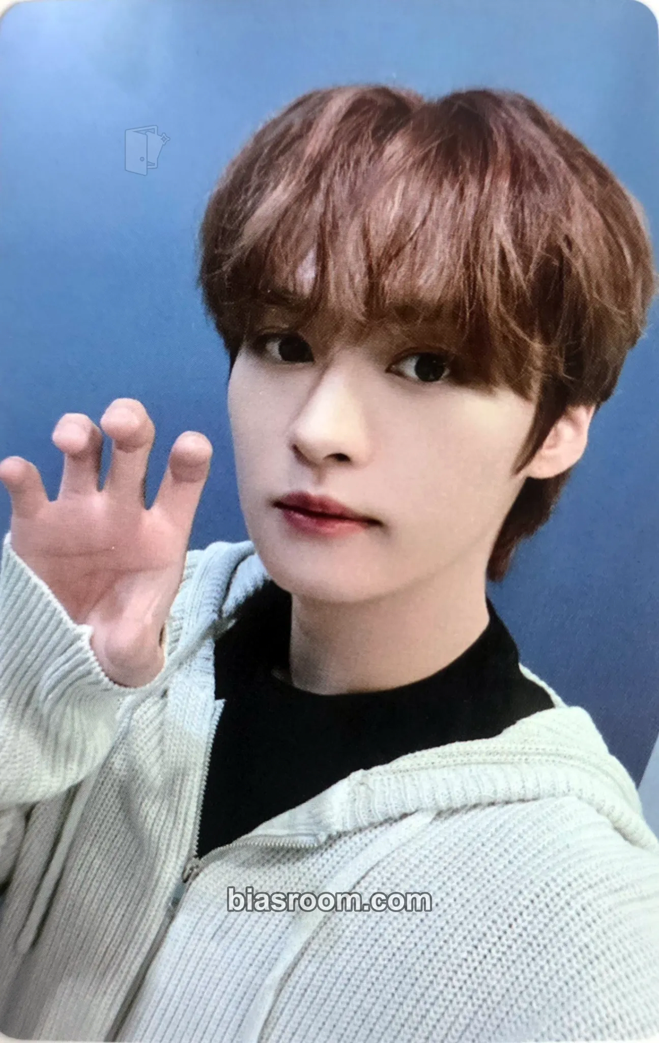 Lee Know 5-STAR Photocard - Stray Kids - Stray Kids K-pop photocard
