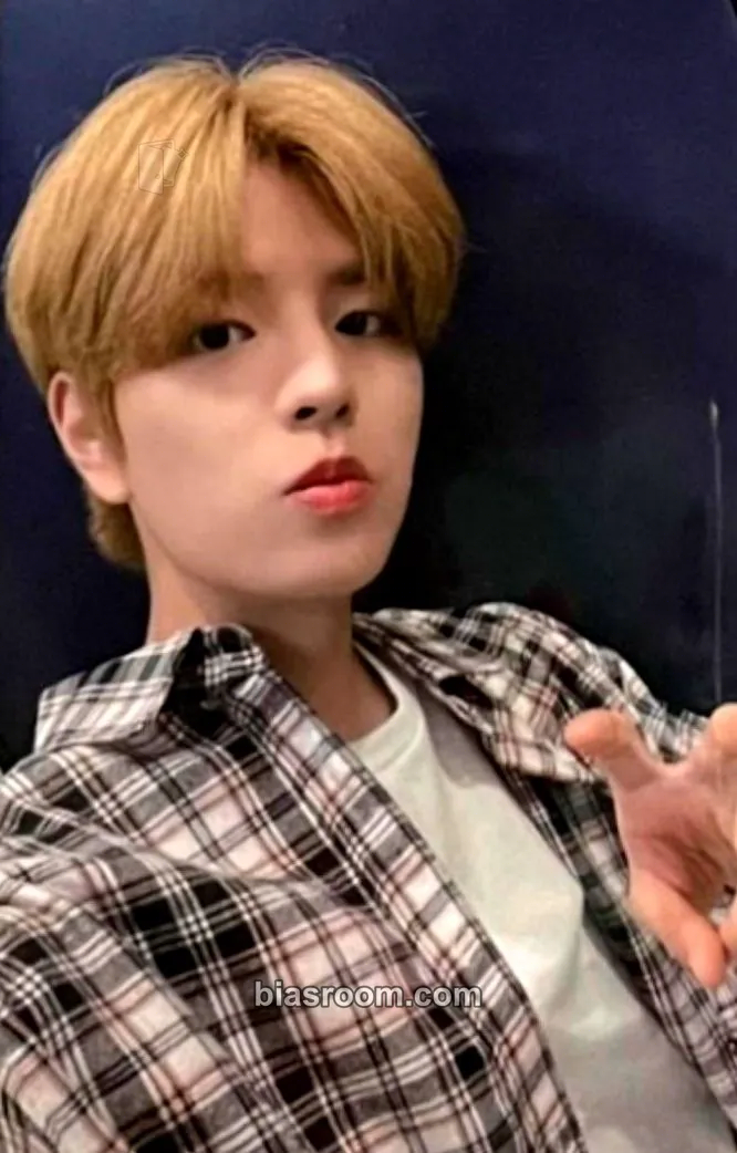 Seungmin 5-STAR Photocard - Stray Kids - Stray Kids K-pop photocard