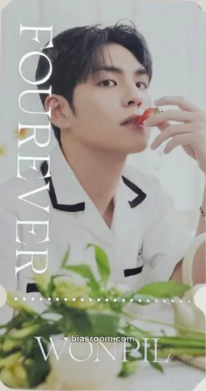 Wonpil Fourever Photocard - DAY6 - DAY6 K-pop photocard