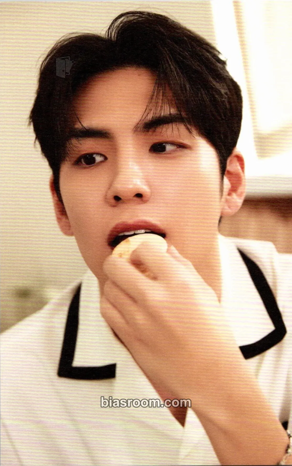 Wonpil Fourever Photocard - DAY6 - DAY6 K-pop photocard