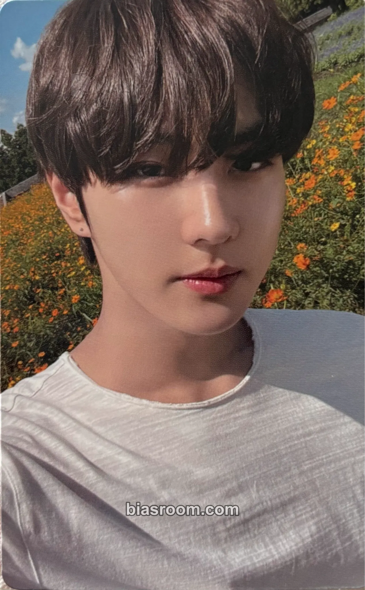 Jungwon ORANGE BLOOD Photocard - ENHYPEN - ENHYPEN K-pop photocard