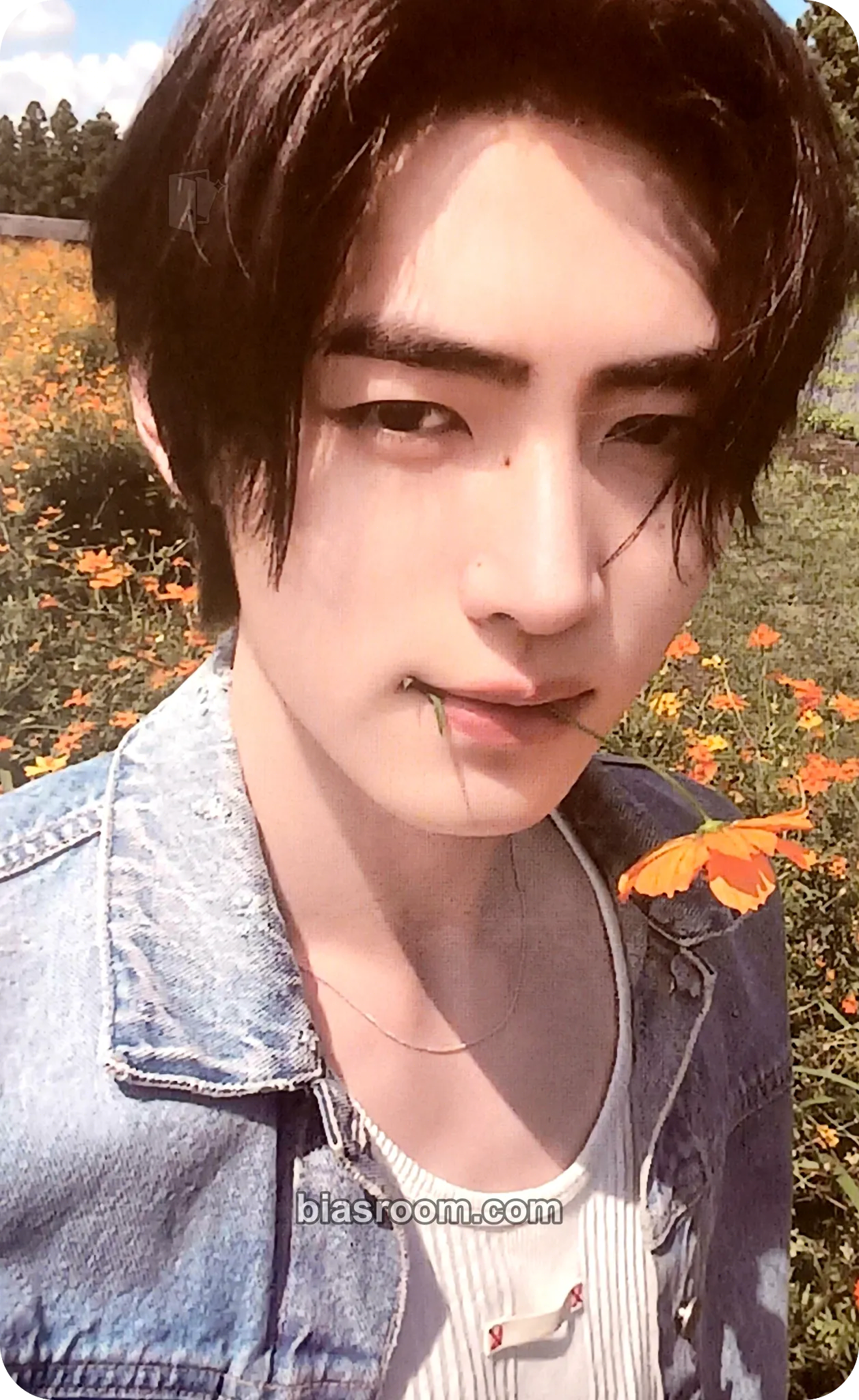 Sunghoon ORANGE BLOOD Photocard - ENHYPEN - ENHYPEN K-pop photocard