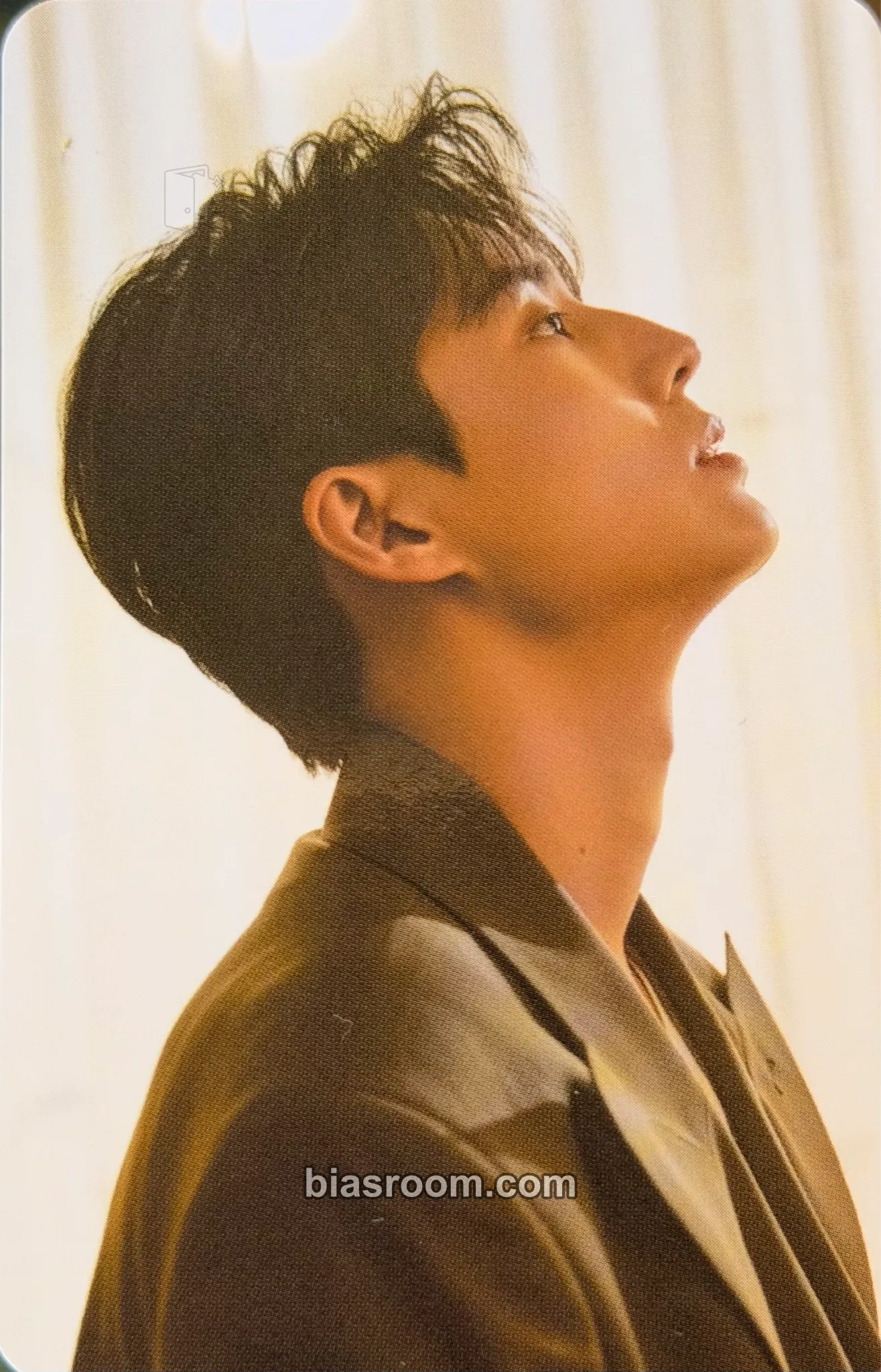 Young K Fourever Photocard - DAY6 - DAY6 K-pop photocard