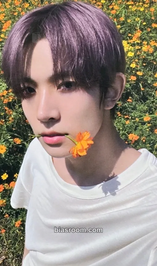 Heeseung ORANGE BLOOD Photocard - ENHYPEN - ENHYPEN K-pop photocard