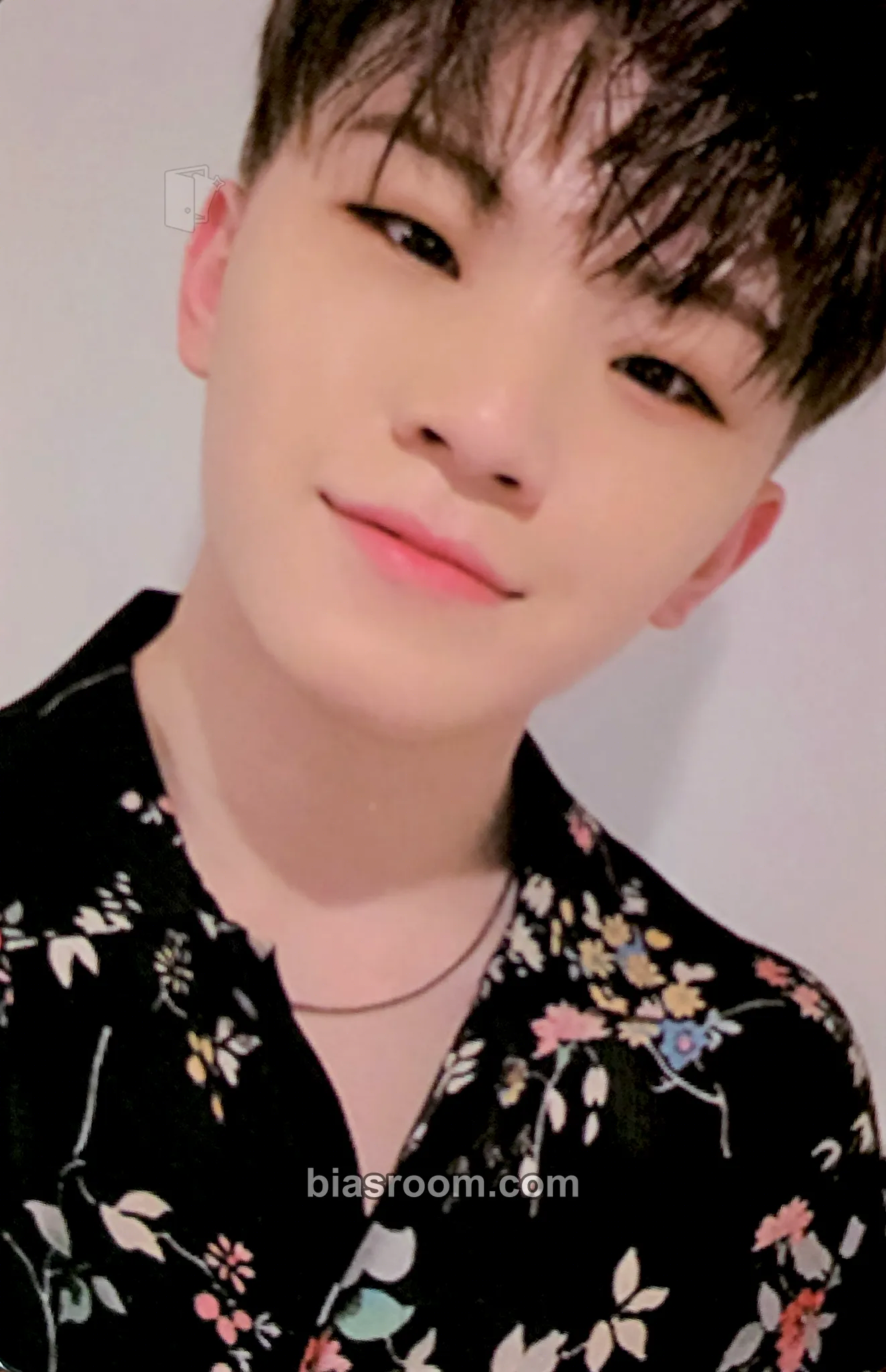 Woozi An Ode Photocard - SEVENTEEN - SEVENTEEN K-pop photocard