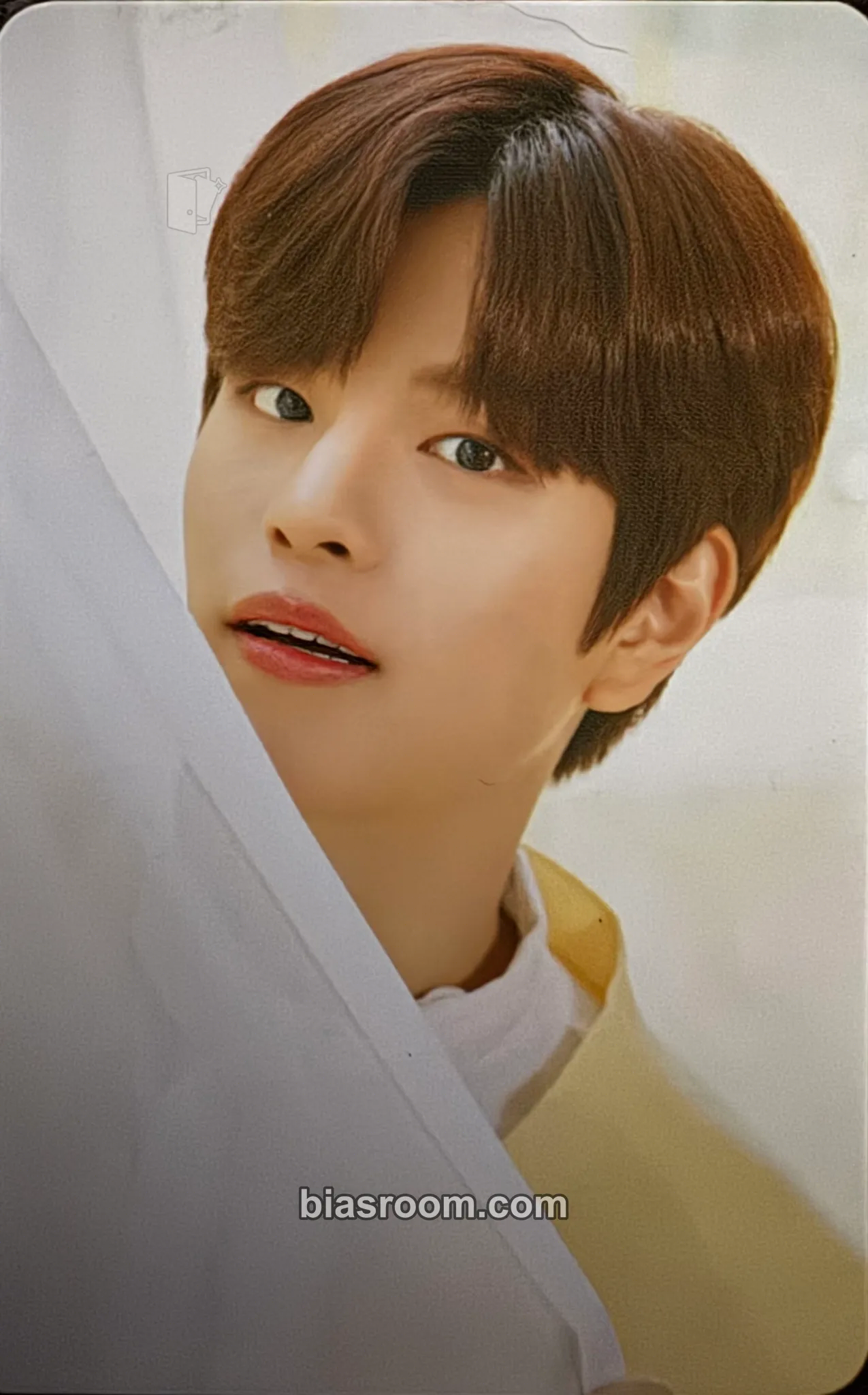 Seungmin NACIFIC x Stray Kids Photocard - Stray Kids - Stray Kids K-pop photocard