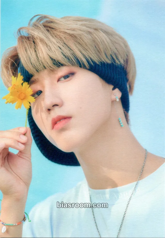 Stray Kids - HAN - Official Fanclub STAY 2nd Gen Kit Other postcard set