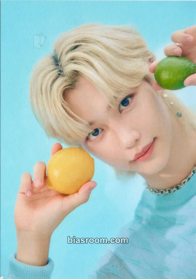 Stray Kids - Felix - Official Fanclub STAY 2nd Gen Kit Other postcard set