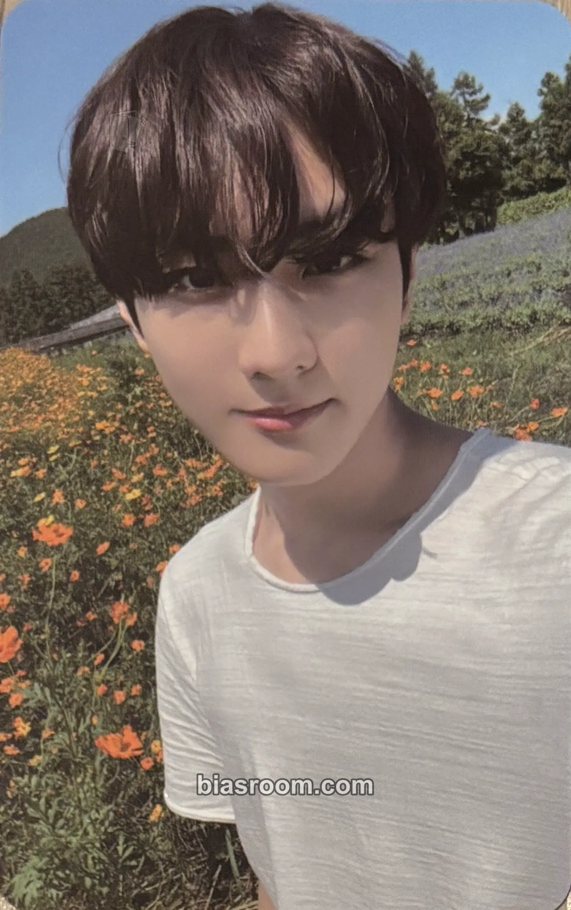 Jungwon ORANGE BLOOD Photocard - ENHYPEN - ENHYPEN K-pop photocard