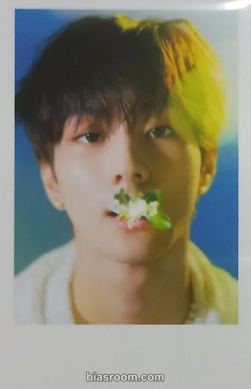 Jungwon ORANGE BLOOD Photocard - ENHYPEN - ENHYPEN K-pop photocard
