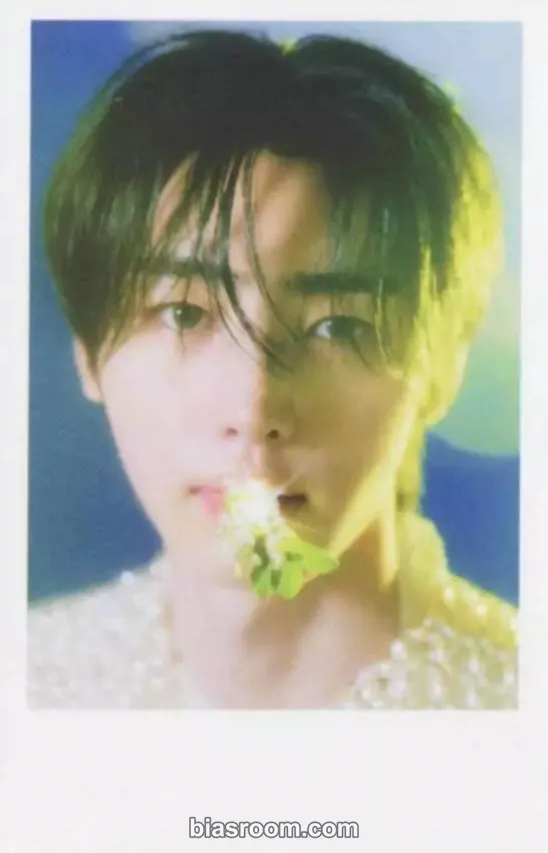Sunghoon ORANGE BLOOD Photocard - ENHYPEN - ENHYPEN K-pop photocard