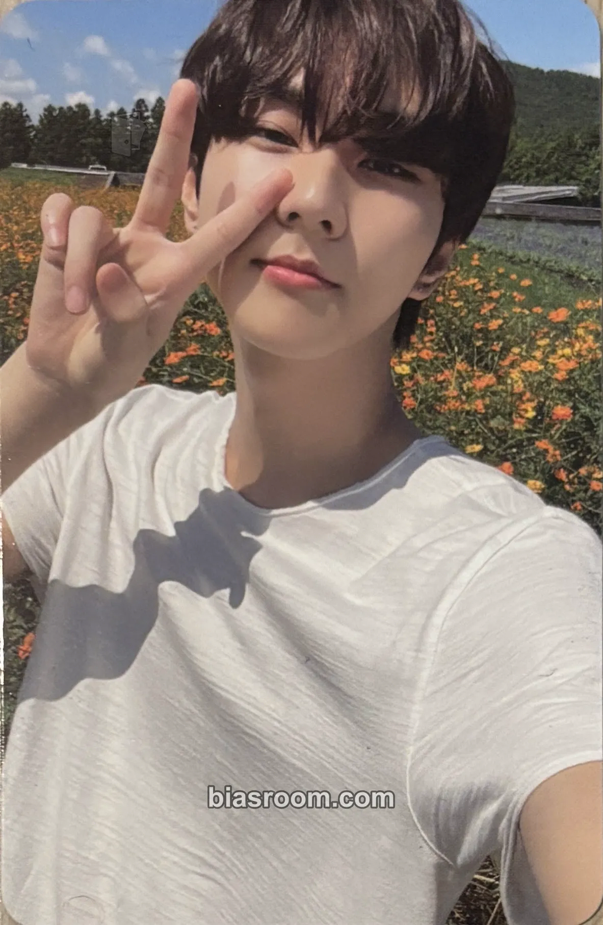 Jungwon ORANGE BLOOD Photocard - ENHYPEN - ENHYPEN K-pop photocard