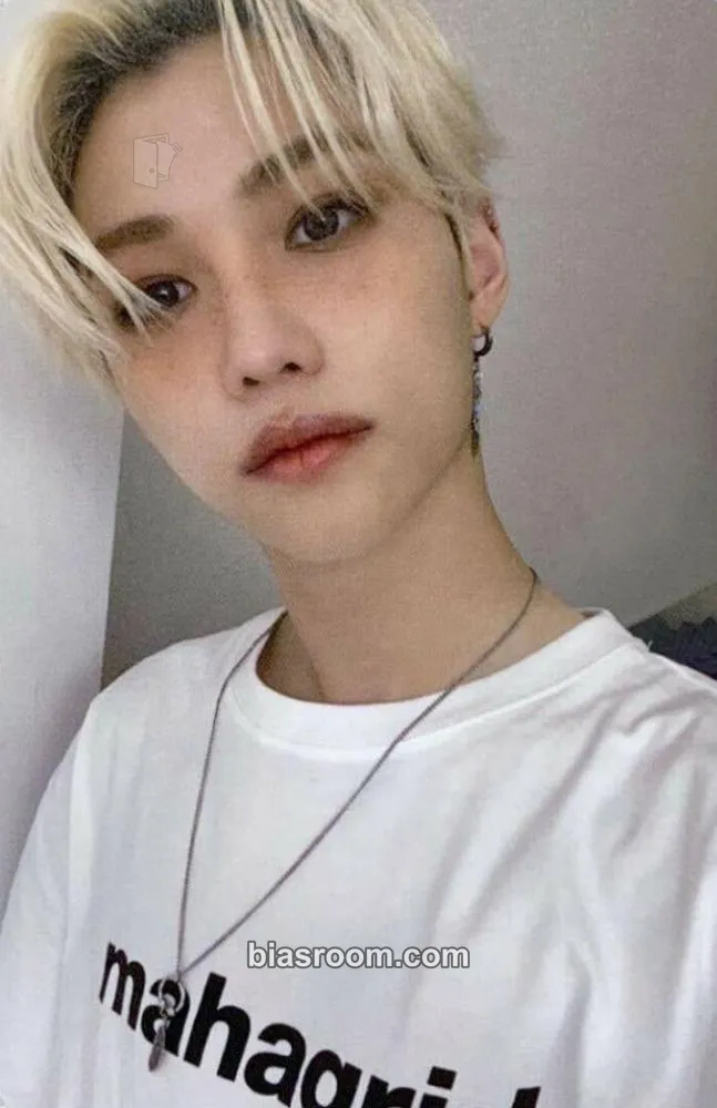 Felix Mahagrid x Stray Kids Photocard - Stray Kids - Stray Kids K-pop photocard