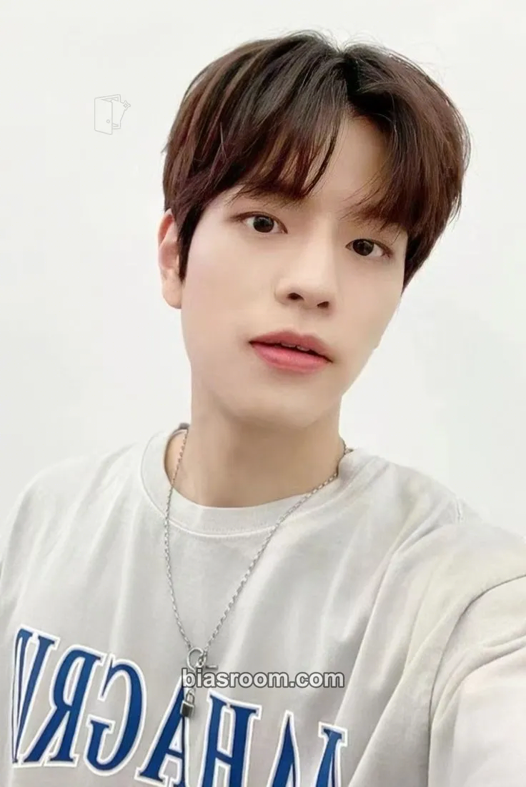 Seungmin Mahagrid x Stray Kids Photocard - Stray Kids - Stray Kids K-pop photocard