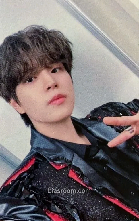 Seungmin 5-STAR Dome Tour 2023 Blu-ray Photocard - Stray Kids - Stray Kids K-pop photocard