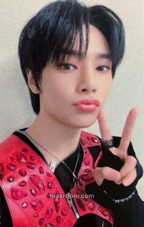I.N 5-STAR Dome Tour 2023 Blu-ray Photocard - Stray Kids - Stray Kids K-pop photocard