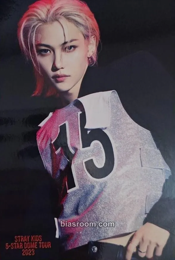 Felix 5-STAR Dome Tour 2023 Blu-ray Photocard - Stray Kids - Stray Kids K-pop photocard