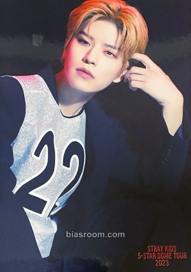 Seungmin 5-STAR Dome Tour 2023 Blu-ray Photocard - Stray Kids - Stray Kids K-pop photocard