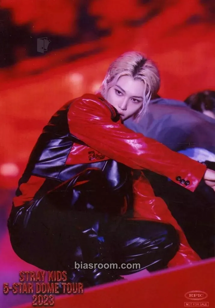 Felix 5-STAR Dome Tour 2023 Blu-ray Photocard - Stray Kids - Stray Kids K-pop photocard