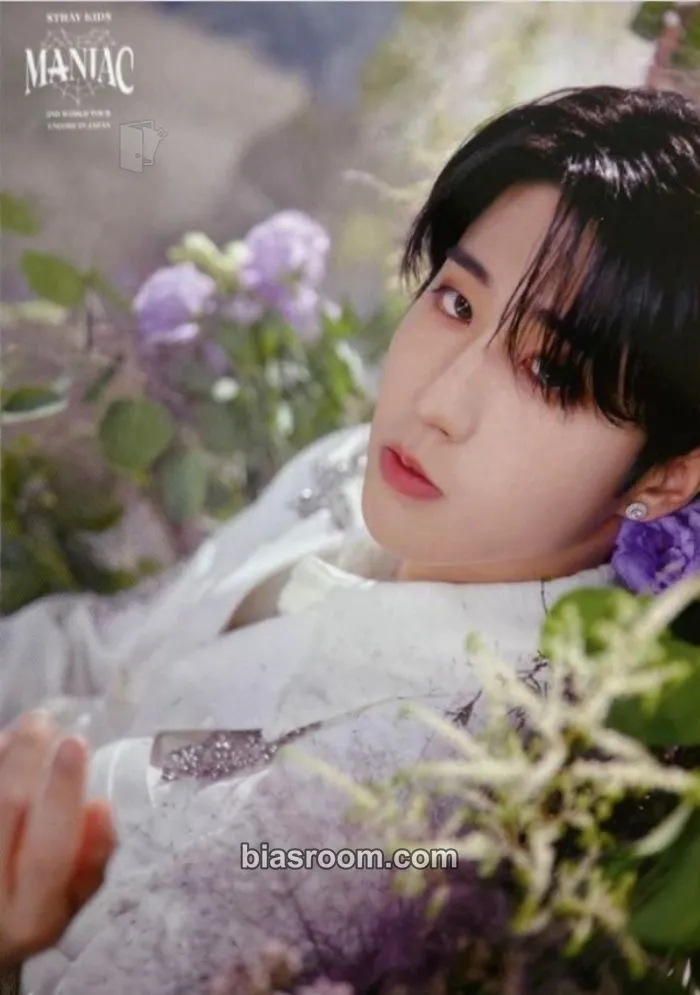 HAN Maniac World Tour Photocard - Stray Kids - Stray Kids K-pop photocard