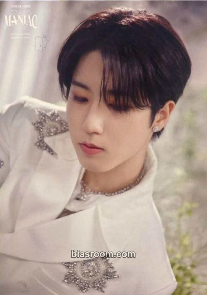 HAN Maniac World Tour Photocard - Stray Kids - Stray Kids K-pop photocard