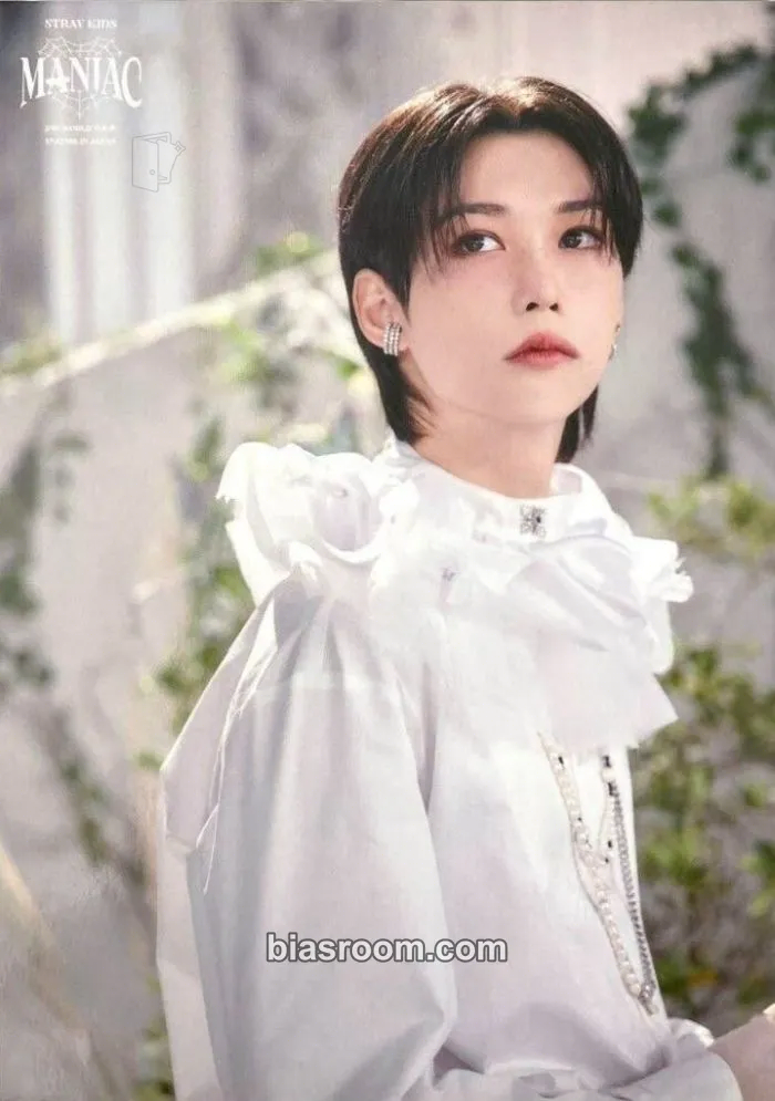 Felix Maniac World Tour Photocard - Stray Kids - Stray Kids K-pop photocard