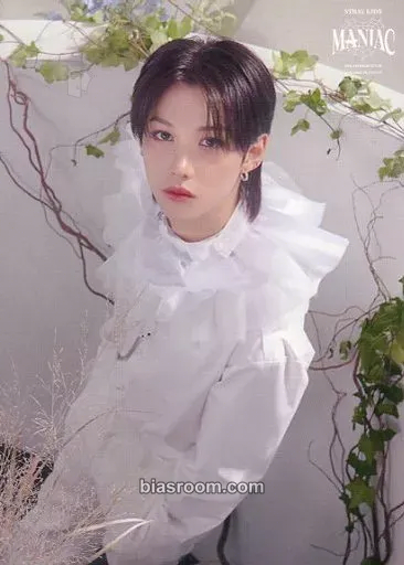 Felix Maniac World Tour Photocard - Stray Kids - Stray Kids K-pop photocard