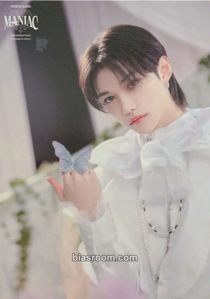 Felix Maniac World Tour Photocard - Stray Kids - Stray Kids K-pop photocard