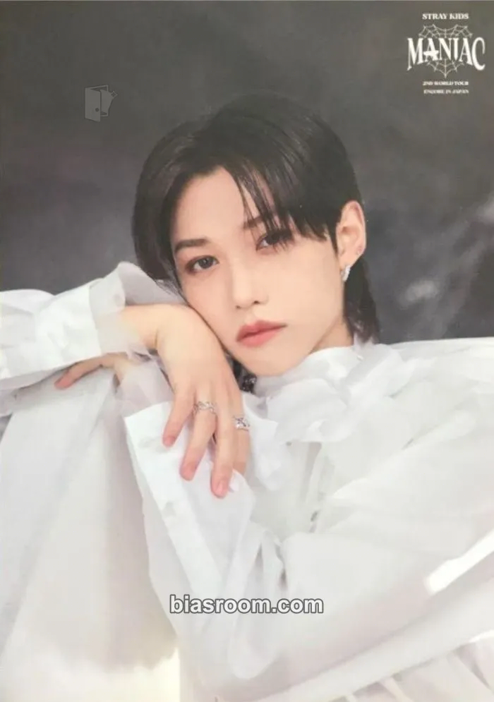 Felix Maniac World Tour Photocard - Stray Kids - Stray Kids K-pop photocard