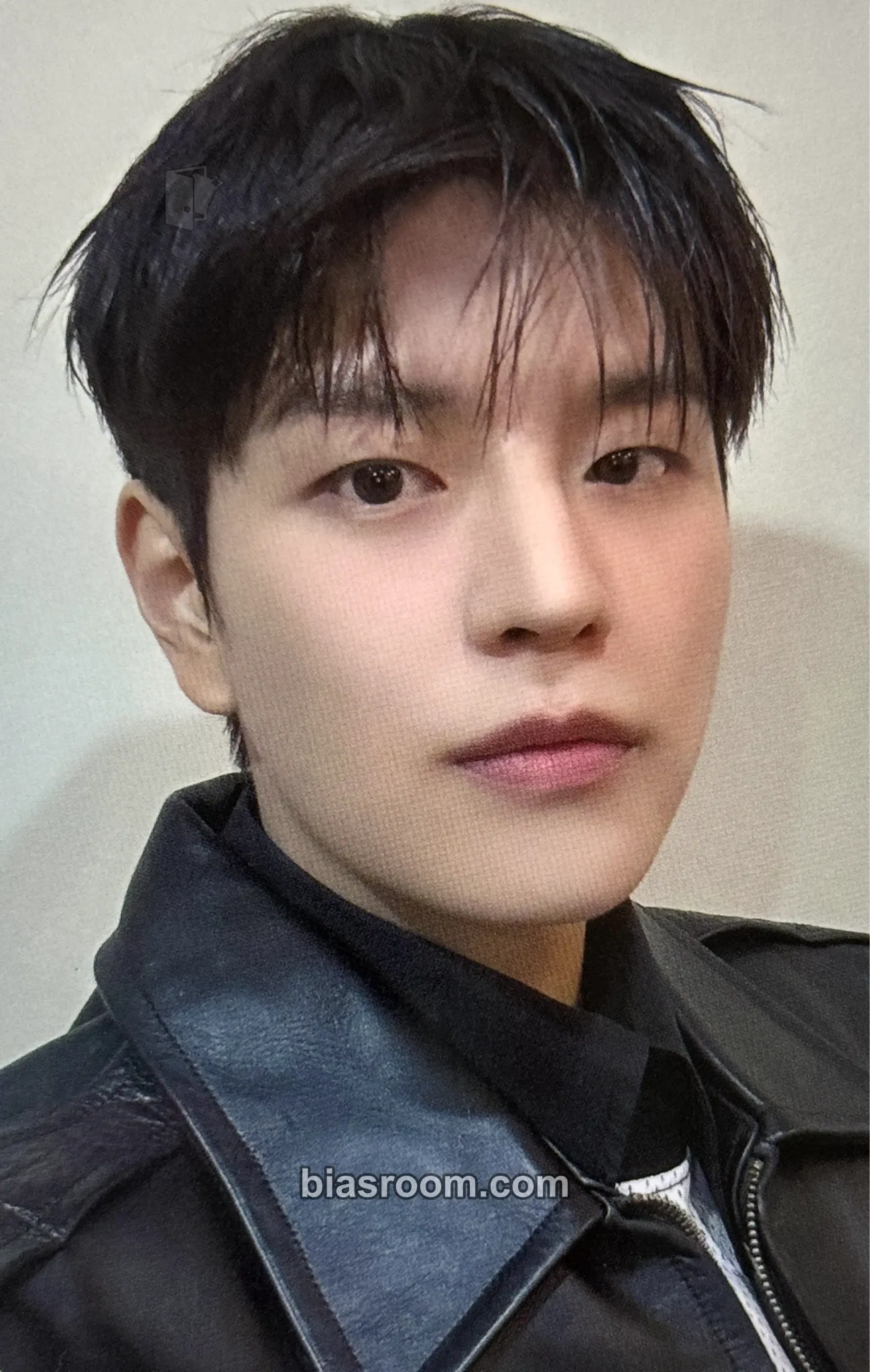Seungmin DominATE World Tour Photocard - Stray Kids - Stray Kids K-pop photocard
