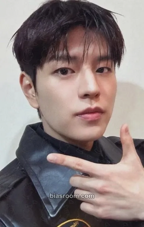 Seungmin DominATE World Tour Photocard - Stray Kids - Stray Kids K-pop photocard