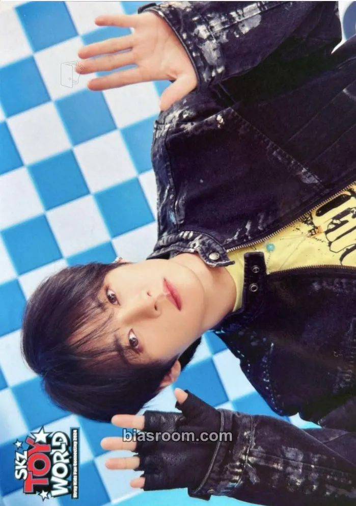 Lee Know SKZ Toy World-Fan Connecting 2024 Photocard - Stray Kids - Stray Kids K-pop photocard
