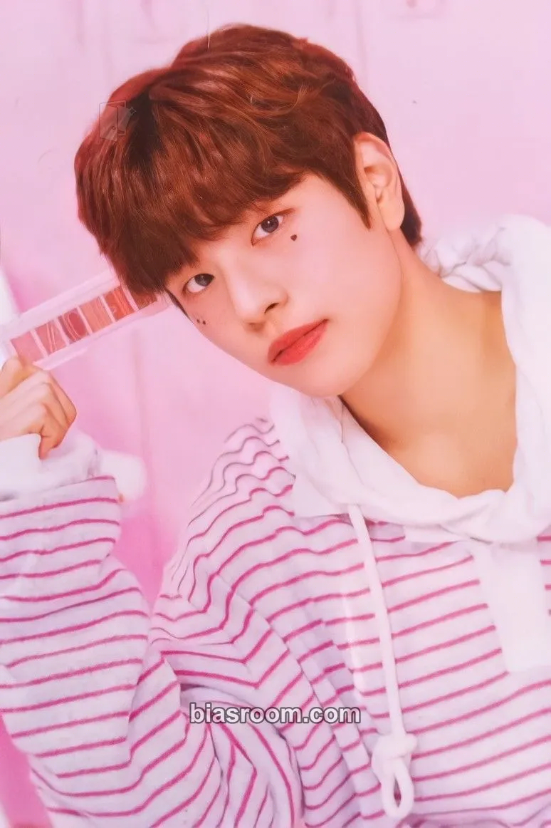 Seungmin NACIFIC x Stray Kids Photocard - Stray Kids - Stray Kids K-pop photocard