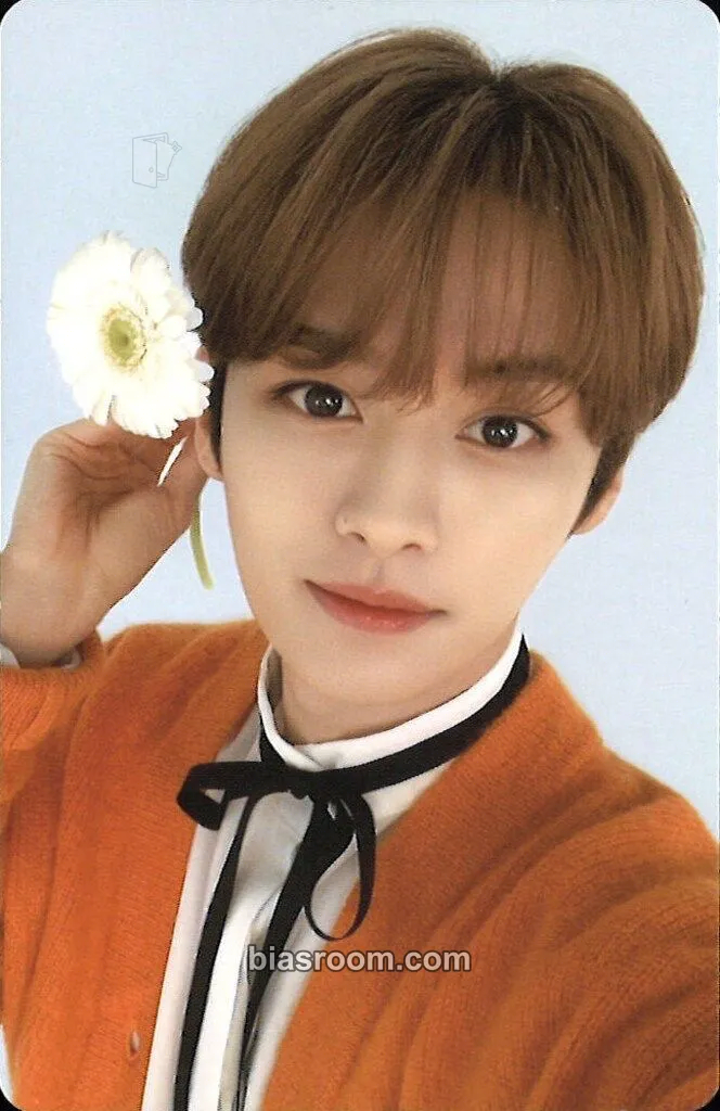Lee Know NACIFIC x Stray Kids Photocard - Stray Kids - Stray Kids K-pop photocard