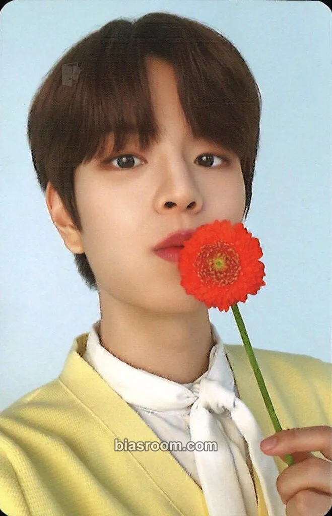 Seungmin NACIFIC x Stray Kids Photocard - Stray Kids - Stray Kids K-pop photocard